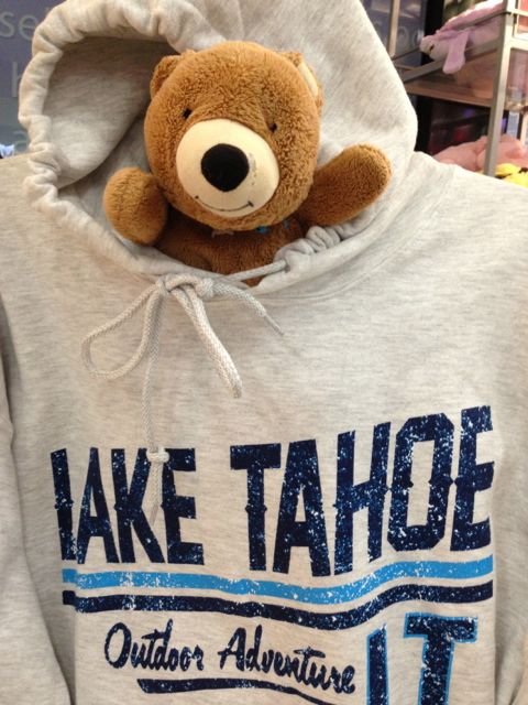 Tedy Bear in Lake Tahoe sweatshirt at airport