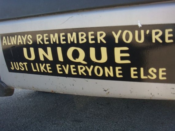 clever bumper sticker about being unique