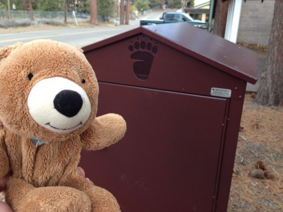 Bear near bear-proof trash can Lake Tahoe