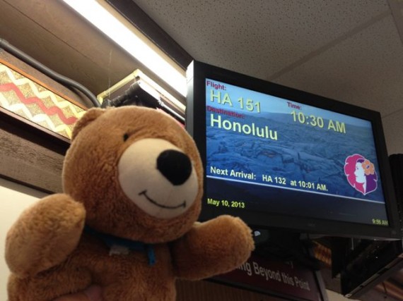 Hilo airport Hawaiian Air flight schedule monitor
