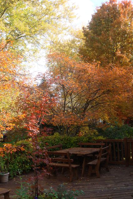 Autumn foliage and empty wooden table