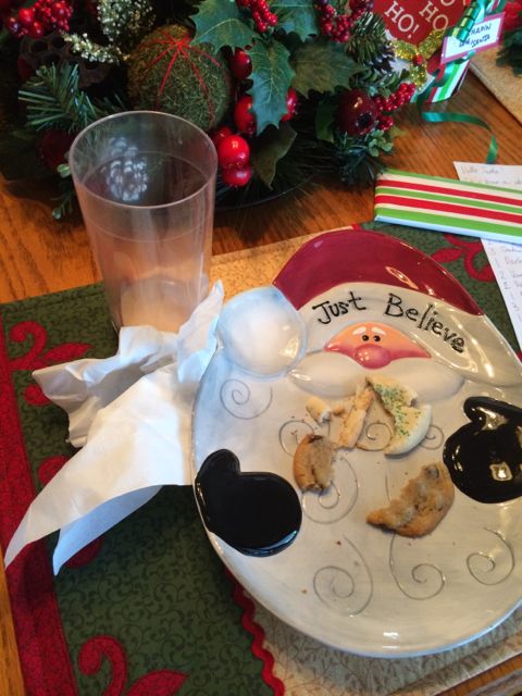 Santa's milk and cookies