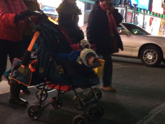 Dogs dressed up like kids in baby strollers