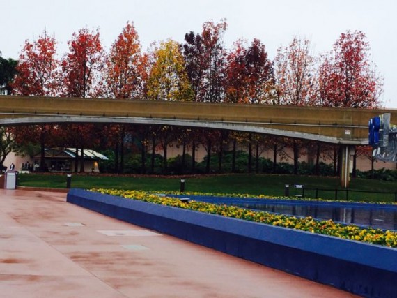 Fall colors at Epcot 