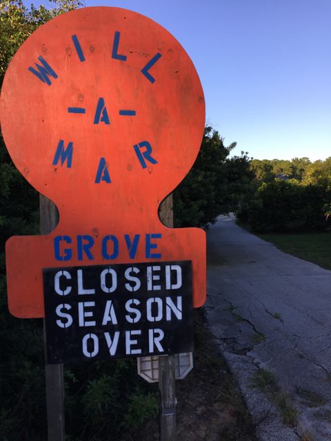 Will-A-Mar Orange Grove sign