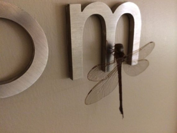 Dragonfly on Disney Convention Hotel  hallway sign