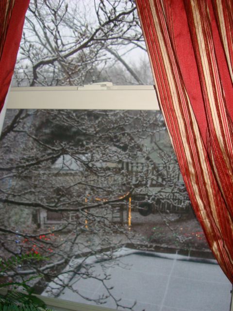 Winter view from Pennsylvania home window 