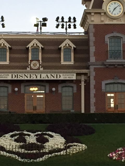 Disneyland Floral Mickey
