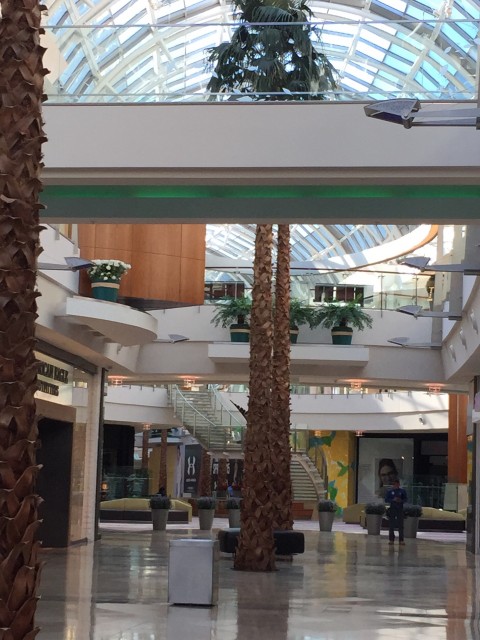 Mall at Millenia before it opens to public