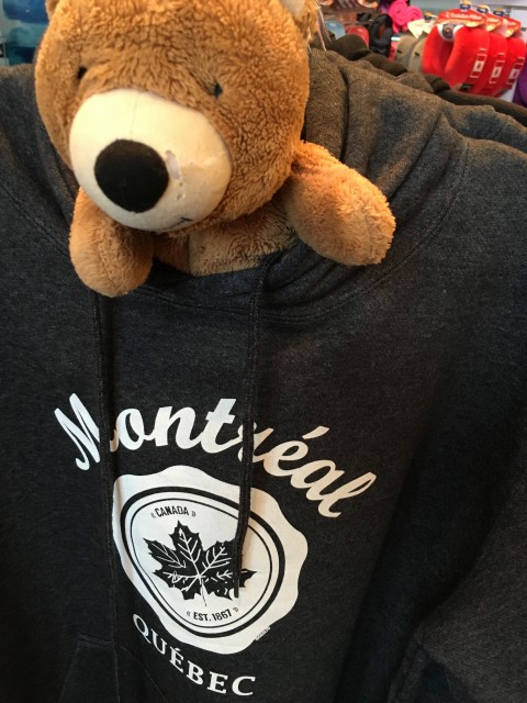 Teddy Bear in Montreal airport