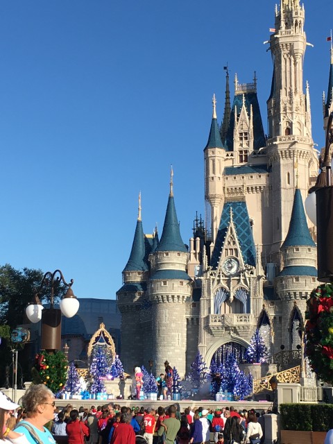 Cinderella Castle at Magic Kingdom