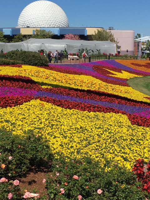 Epcot landscaping