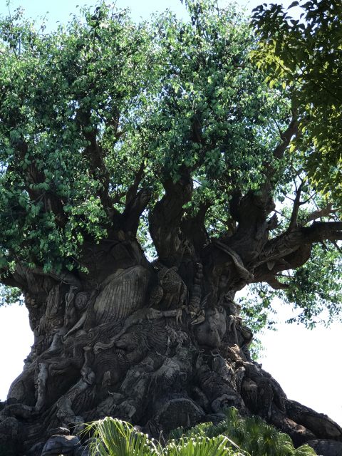 Disney's Tree of Life