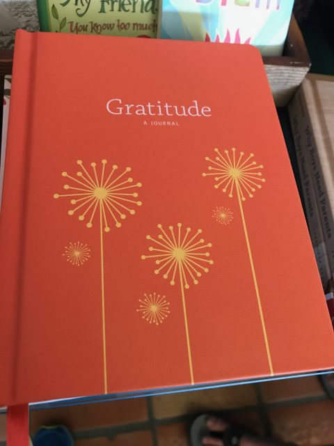 Book about gratitude