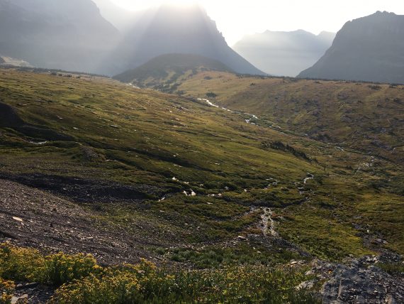 Logan Pass