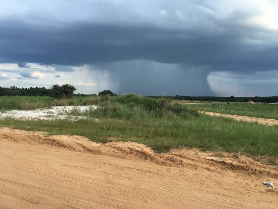 Florida thunderstorm