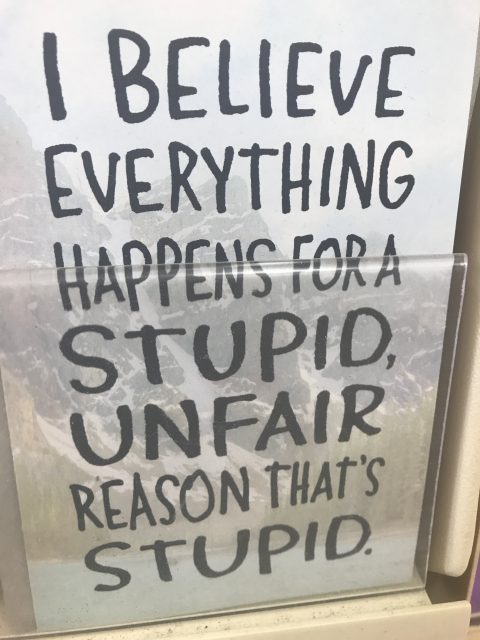 poster about stupid things