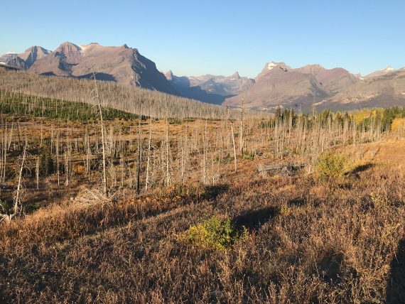 September in Glacier National Park