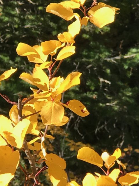 September in Glacier National Park