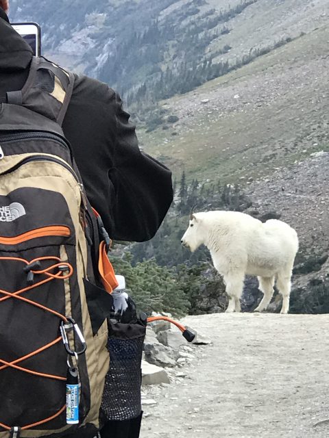 Highline Trail