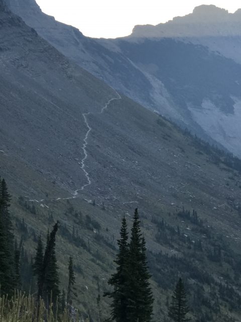 Grinnell Glacier Overlook hike