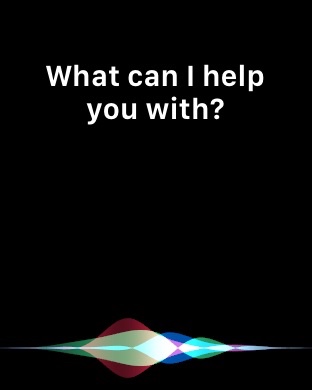 Siri screen