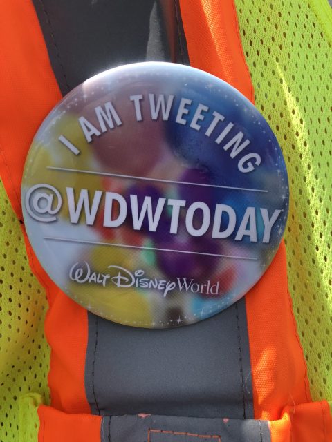 wdw today 