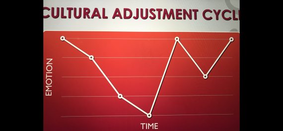 cultural adjustment cycle