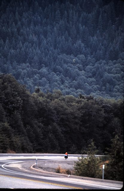 Bicycle honeymoon trip