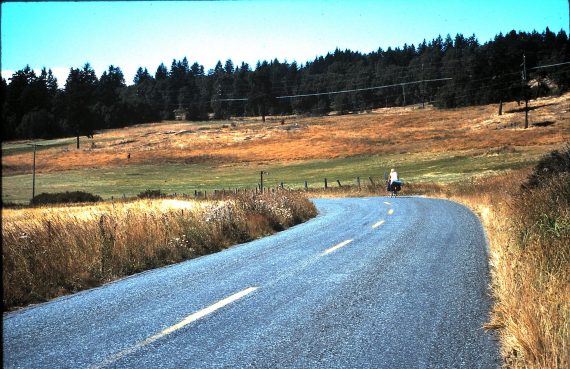 Bicycle honeymoon trip