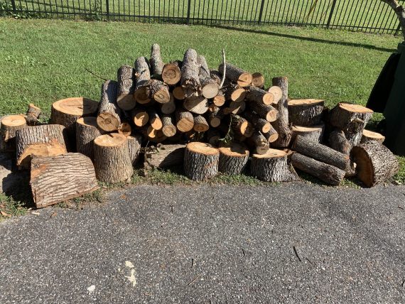 oak firewood