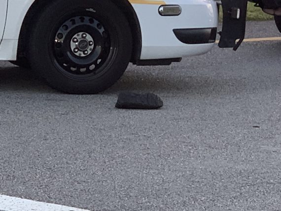 pedestrian struck by car near Disney