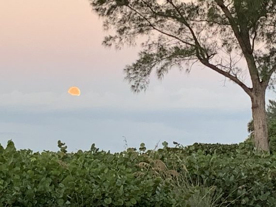 Sanibel moon set