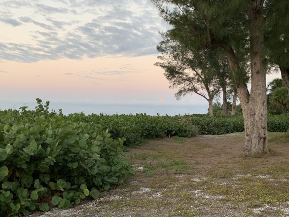 Sanibel moon set