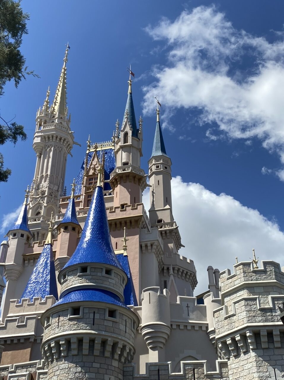 Cinderella Castle