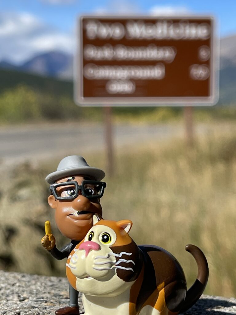 Pixar Soul toys at National Park sign