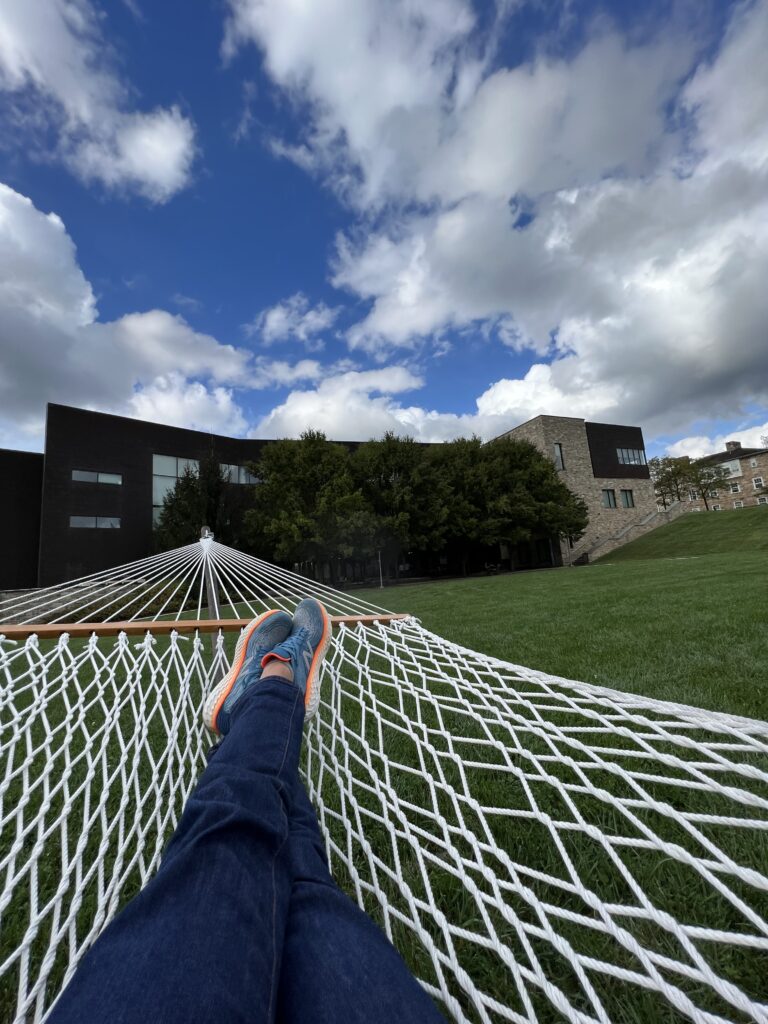 View from a hammock