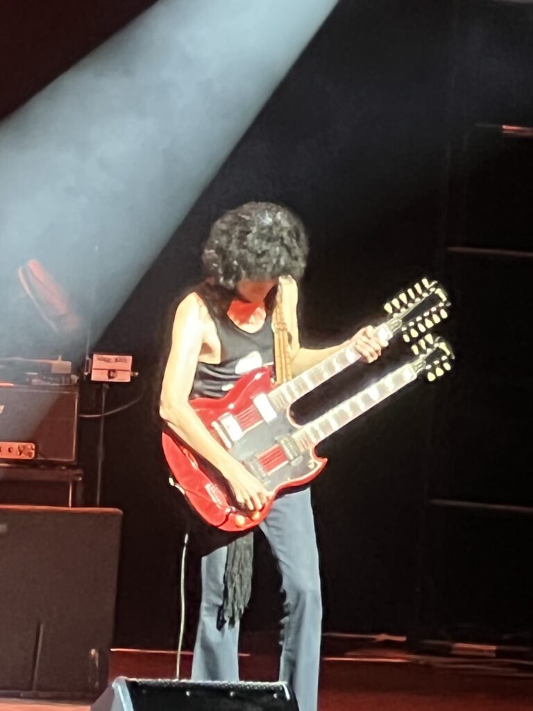 Guitarist playing 12-string guitar