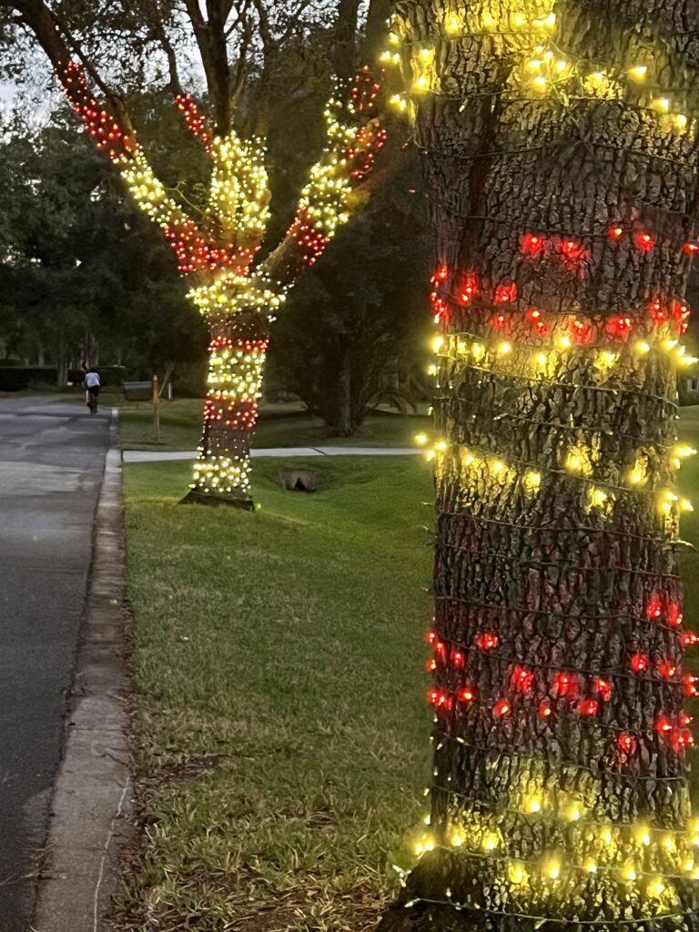Christmas lights on community trees