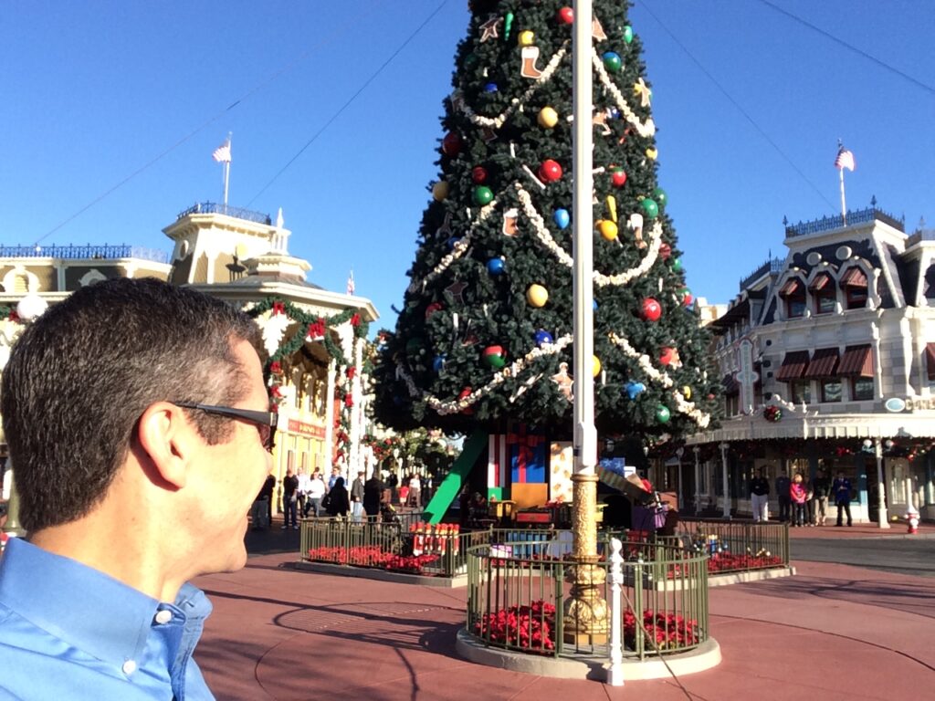Man looking at magic kingdom Christmas tree