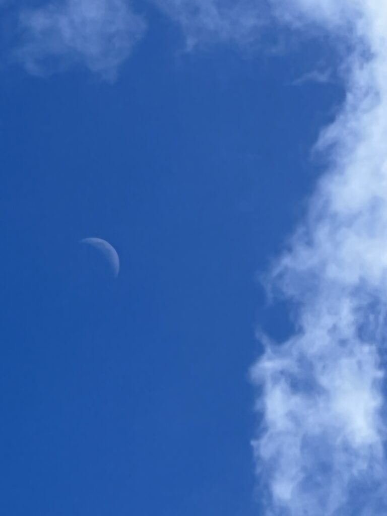 quarter moon in the daytime sky