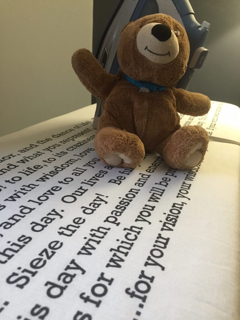 teddy bear on an ironing board