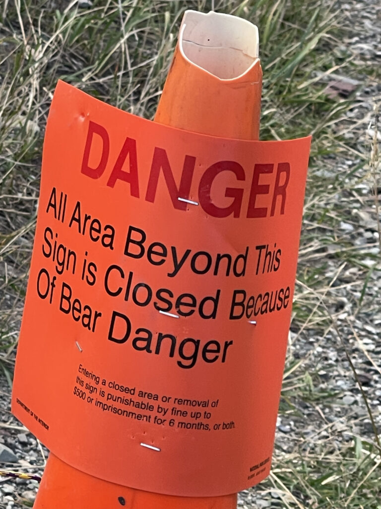 Bear danger sign posted on an orange traffic cone