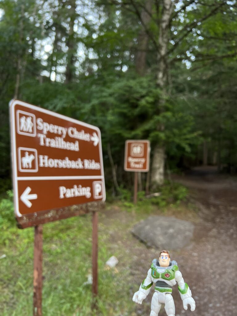Disney toy at hiking trail head