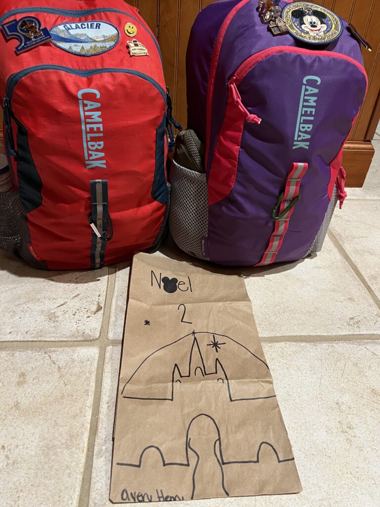 Two small backpacks on floor