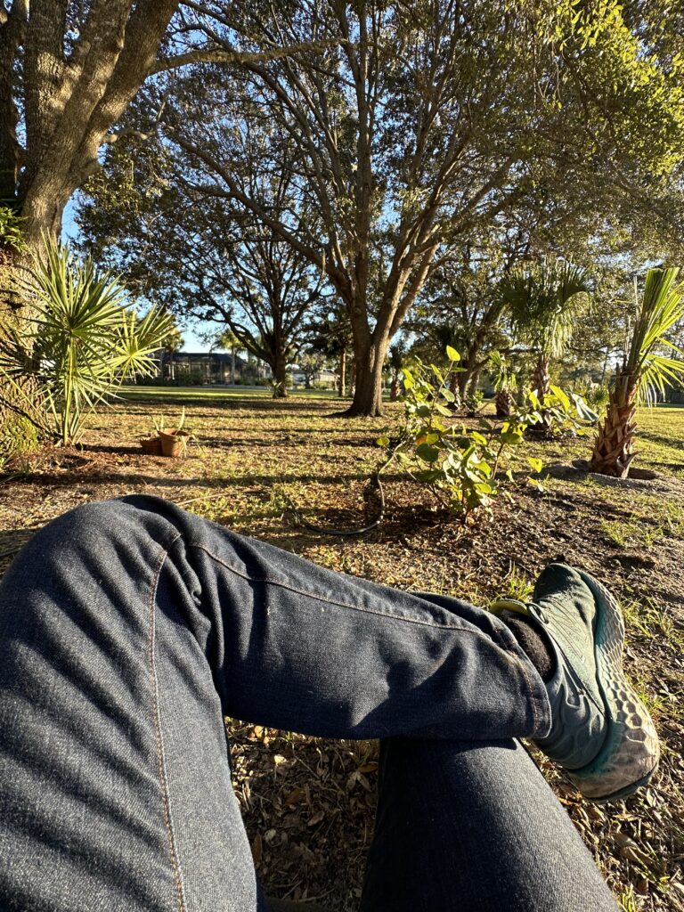 Person sitting in a big back yard