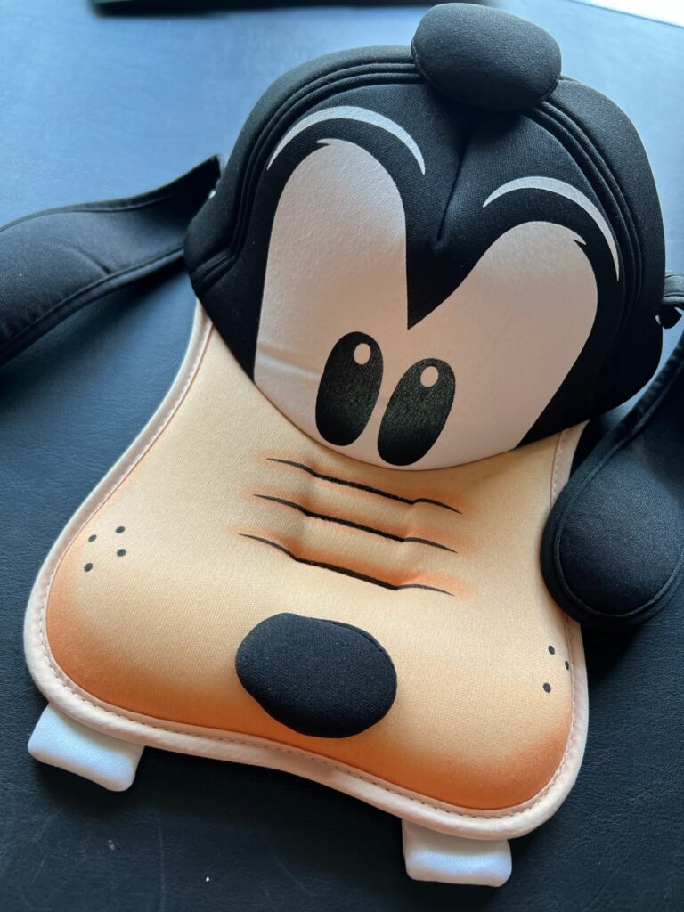 Disney’s Goofy hat