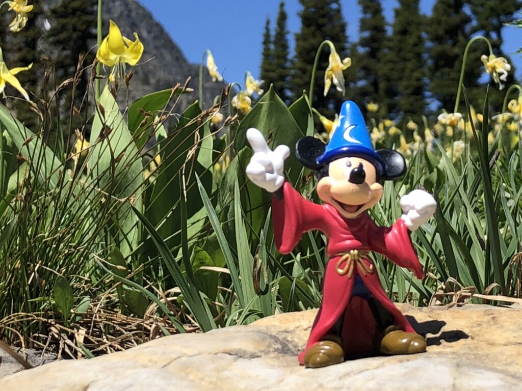 Mickey Mouse figurine on the ground next to yellow flowers