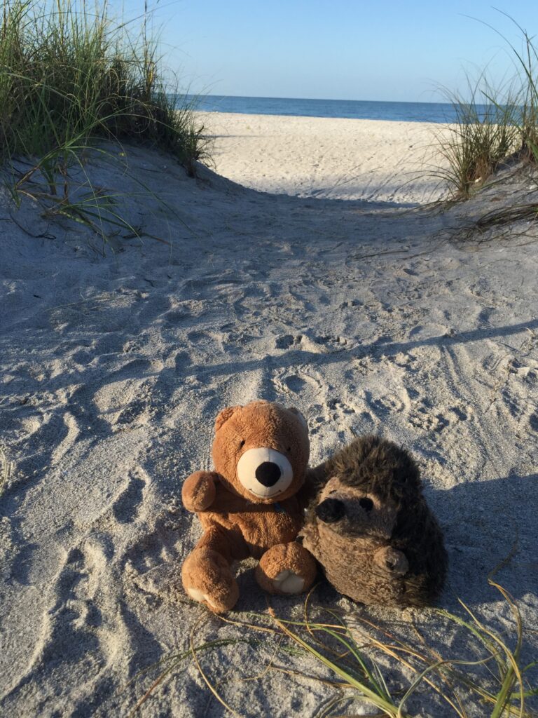 Two stuffed animals at the beach