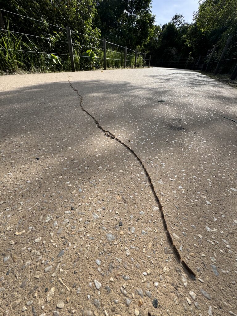 Sidewalk with a caterpillar Trail